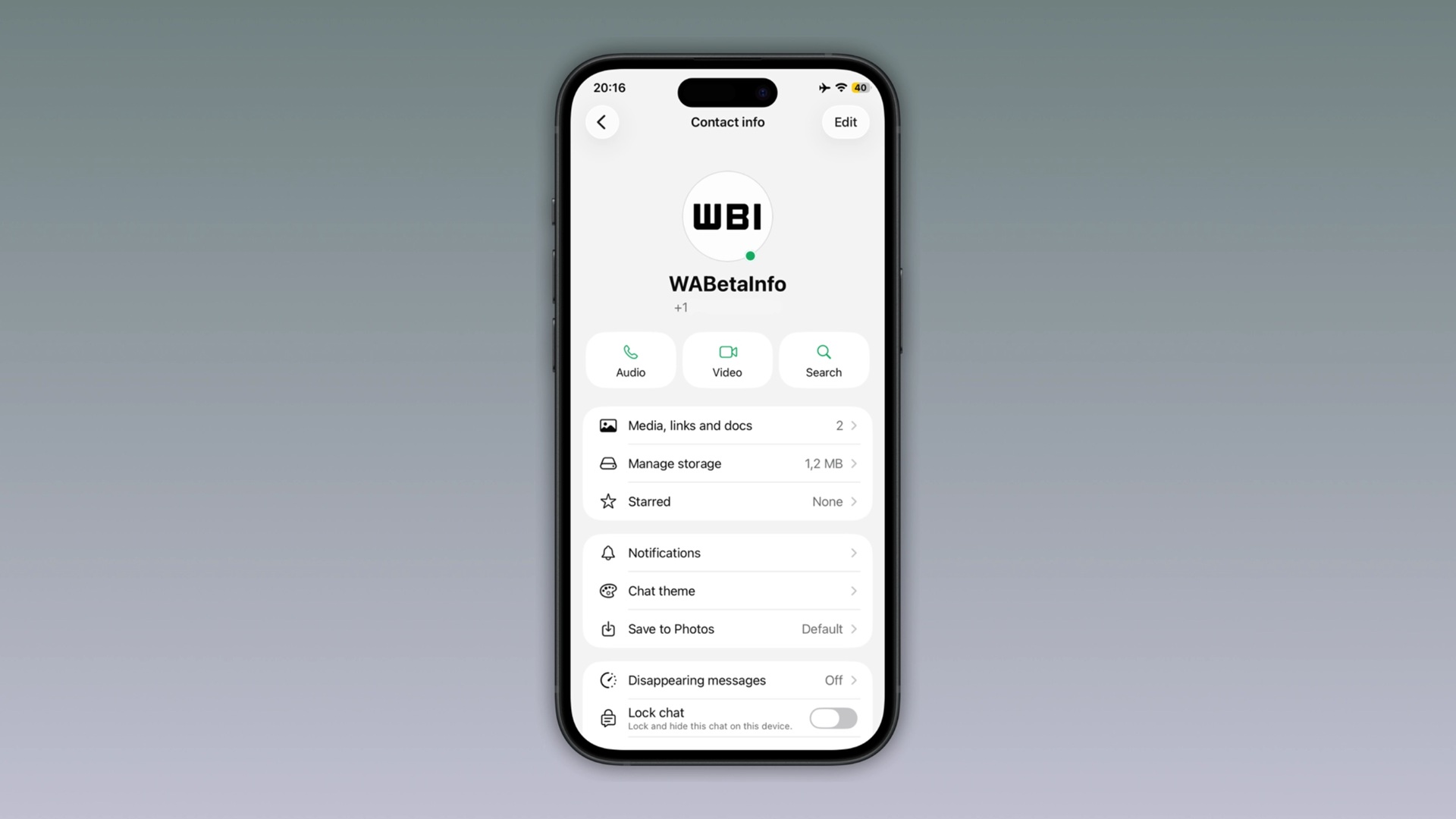 WhatsApp Beta per iOS v26.26.10.72 - Indicatore contatto online WBI