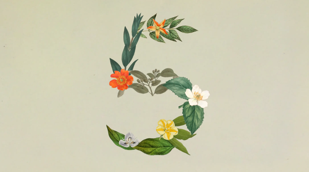 anthropic claude sonnet 5