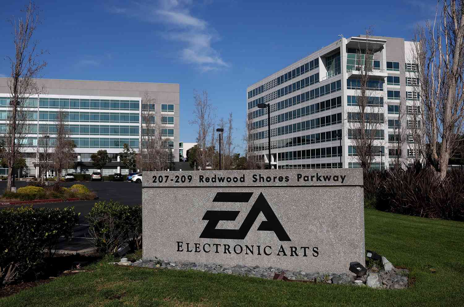 electronic arts