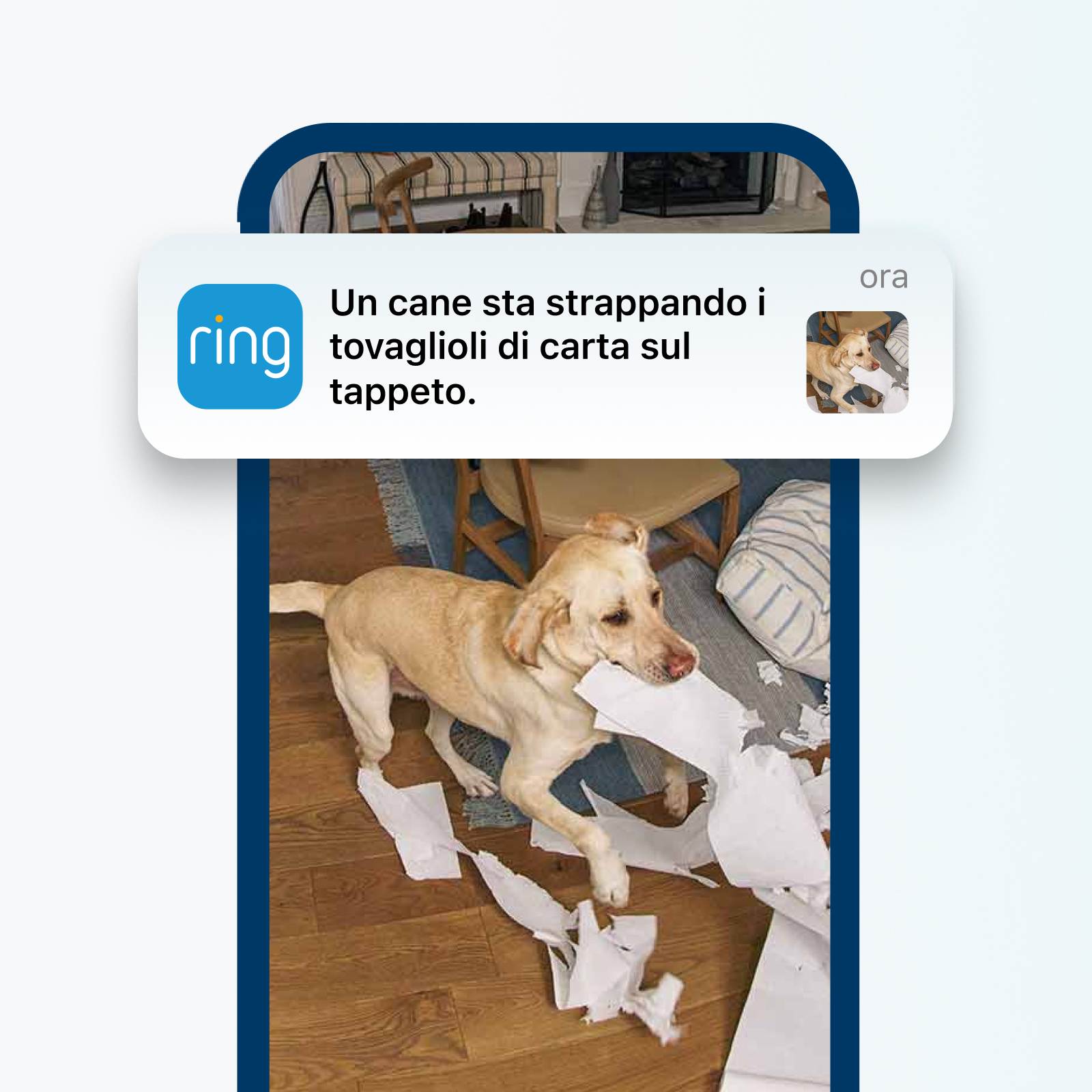 ring descrizione video