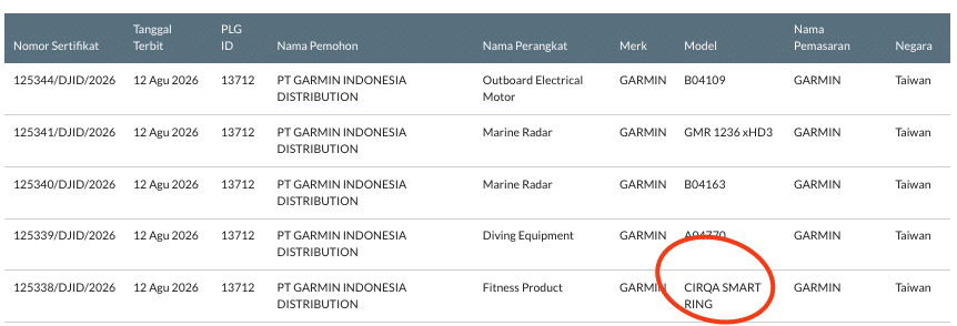 Garmin CIRQA Smart Ring