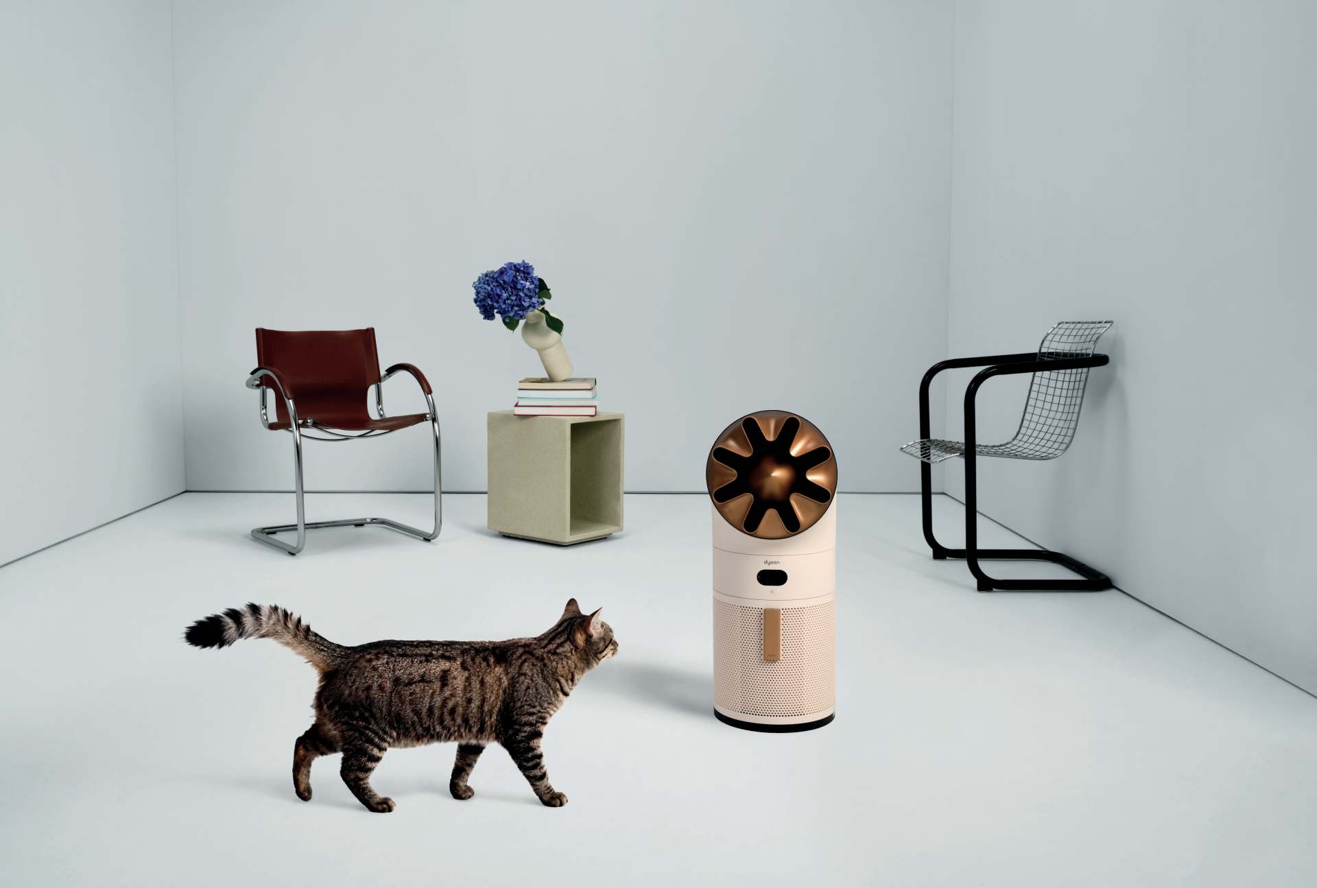 Dyson: spazzolino con telecamera e robot AI, la casa intelligente vede 7