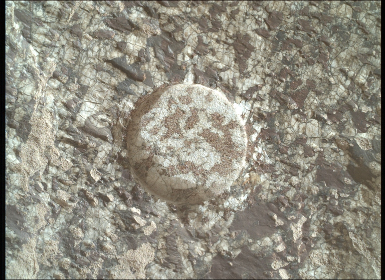 marte perseverance texture rocce