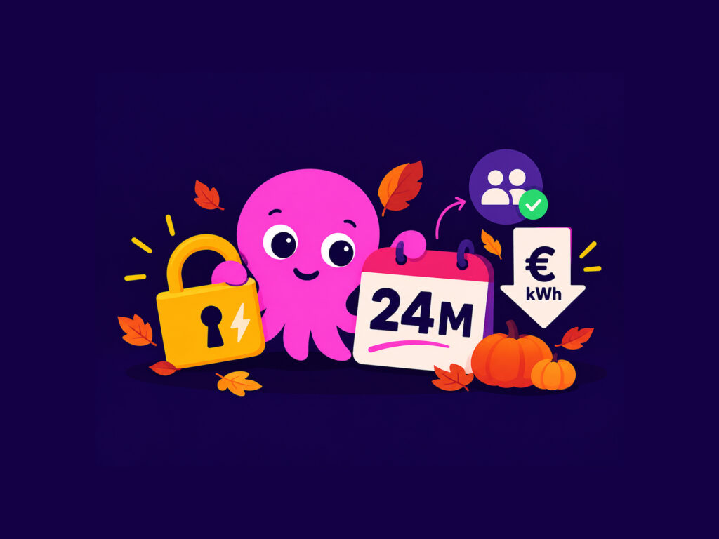 Octopus Energy ha una tariffa segreta per i già clienti: 24 mesi a 0,1496 €/kWh, come richiederla per luce 2