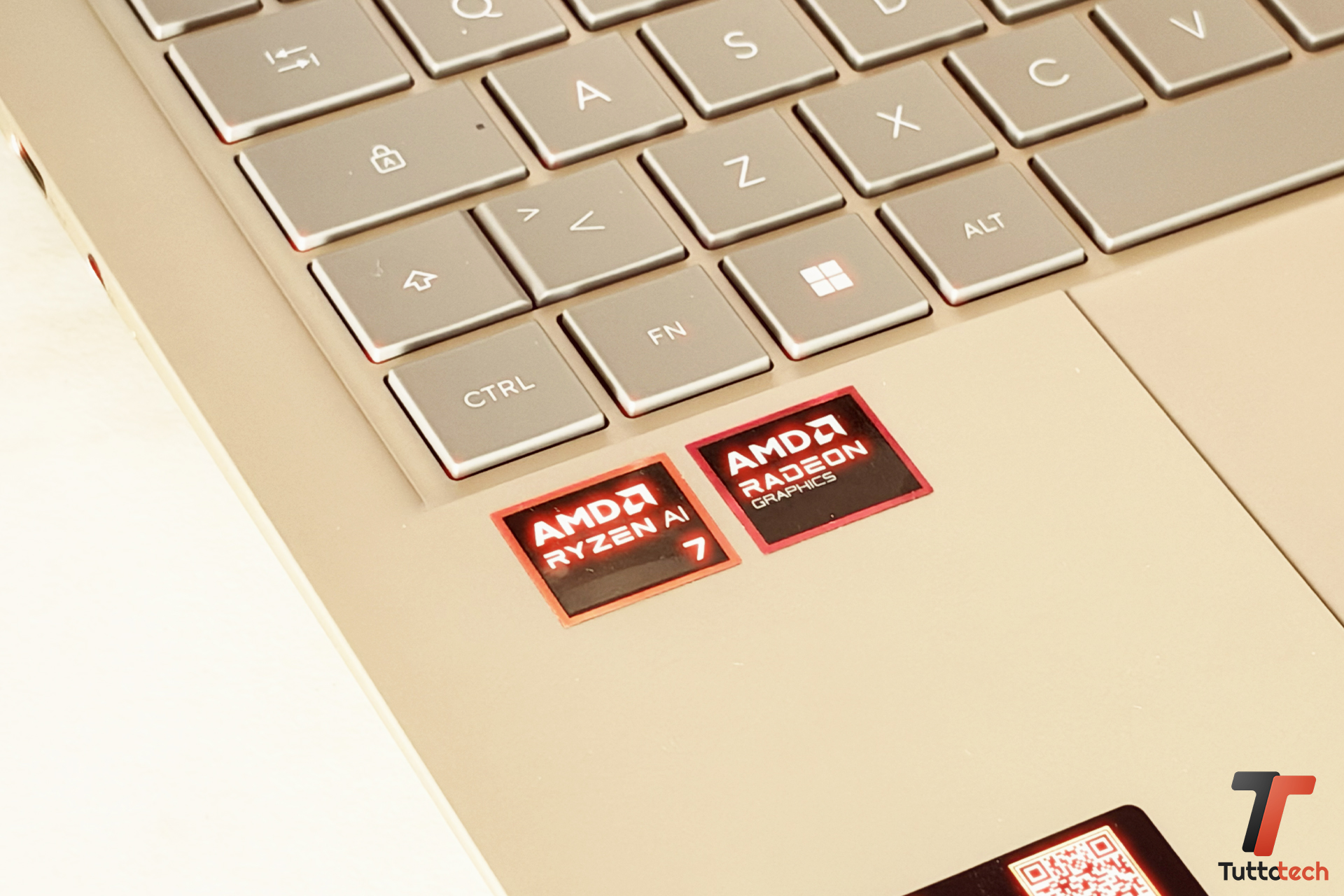 asus zenbook 14 amd